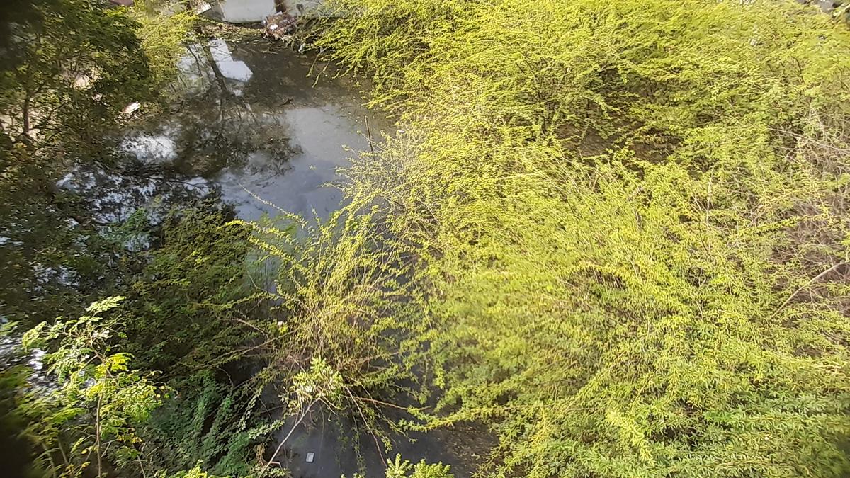 Madurai Reader’s Mail