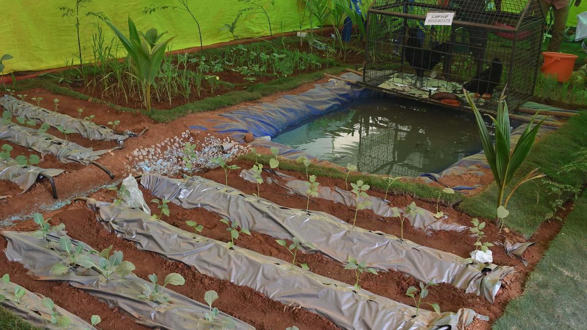 UAS-B launches new UG programmes in Natural farming, Forestry and Biotechnology
