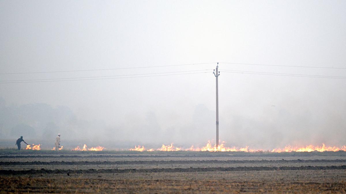 Stubble burning in Punjab, Haryana | Caught in the cross (farm) fire