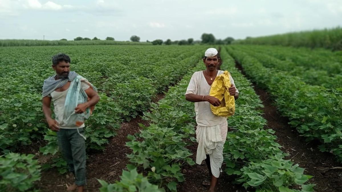 West Asia conflict may affect fertiliser supply