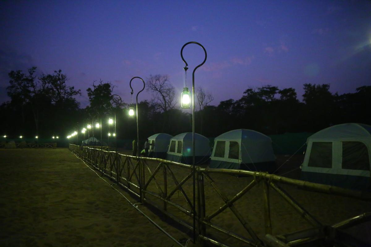 Night view of tents at Blackberry Island. Photo: by Arrangement 