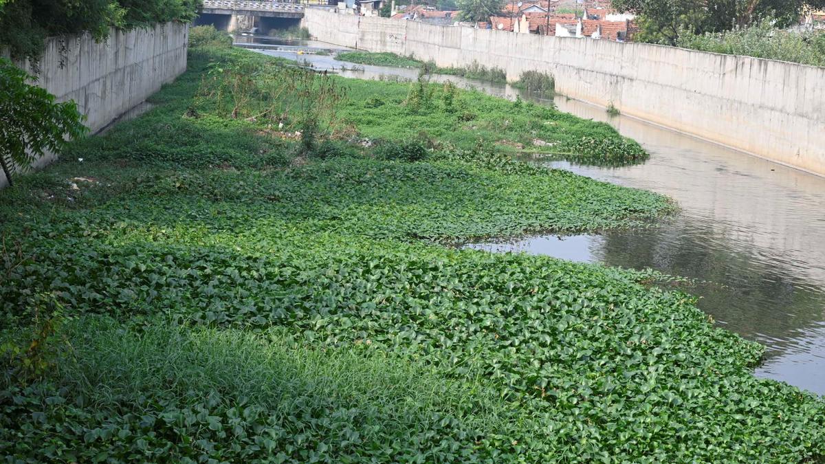 Residents seek desilting of Perumpallam canal in Erode ahead of northeast monsoon