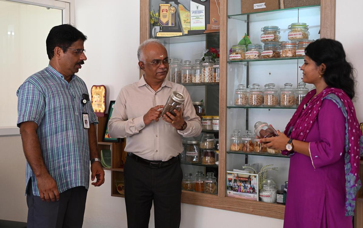 (From left) Sajeev MS, principal scientist, G Byju, director and C Pradeepika, scientist, at ICAR - Central Tuber Crops Research Institute