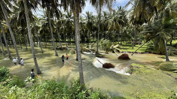 Karnataka incurs ₹7,467-crore loss as southwest monsoon marches on