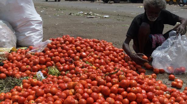 Glut triggers crash in tomato price in Chennai market