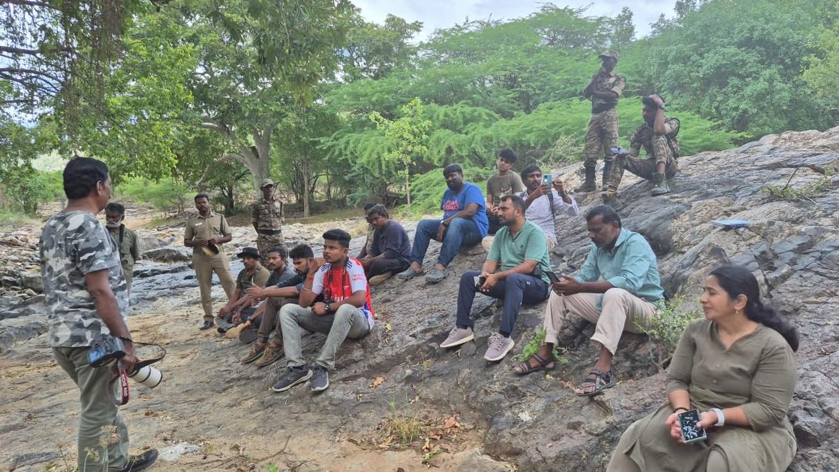 Vulture watch programme held at Sathyamangalam Tiger Reserve