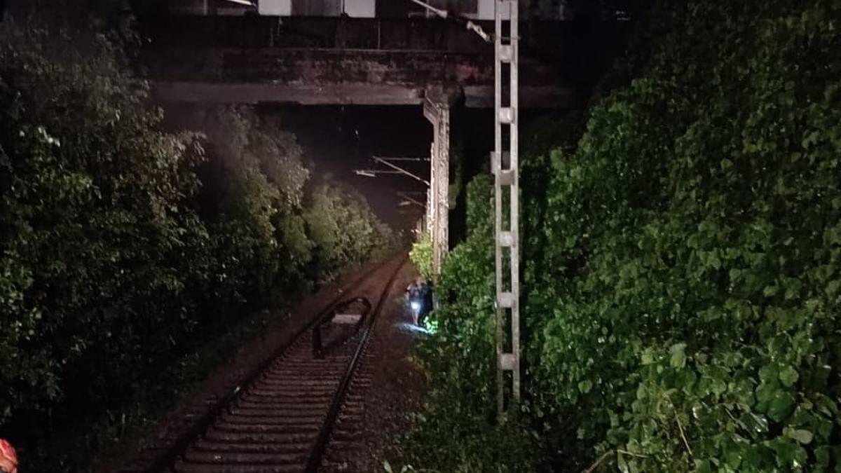 Train traffic affected for a while after tree falls on track near Udupi&nbsp;