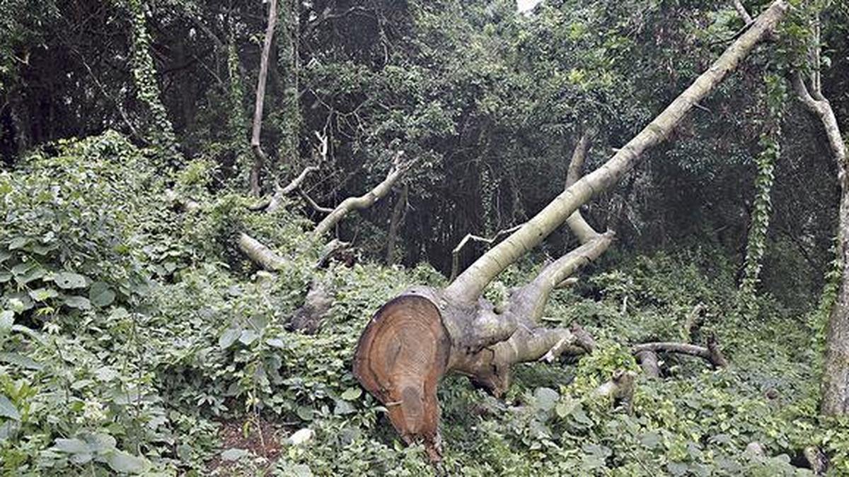 Green NGO ‘Parisarakkaagi Naavu’ writes to PM demanding immediate action to protect people from climate emergencies