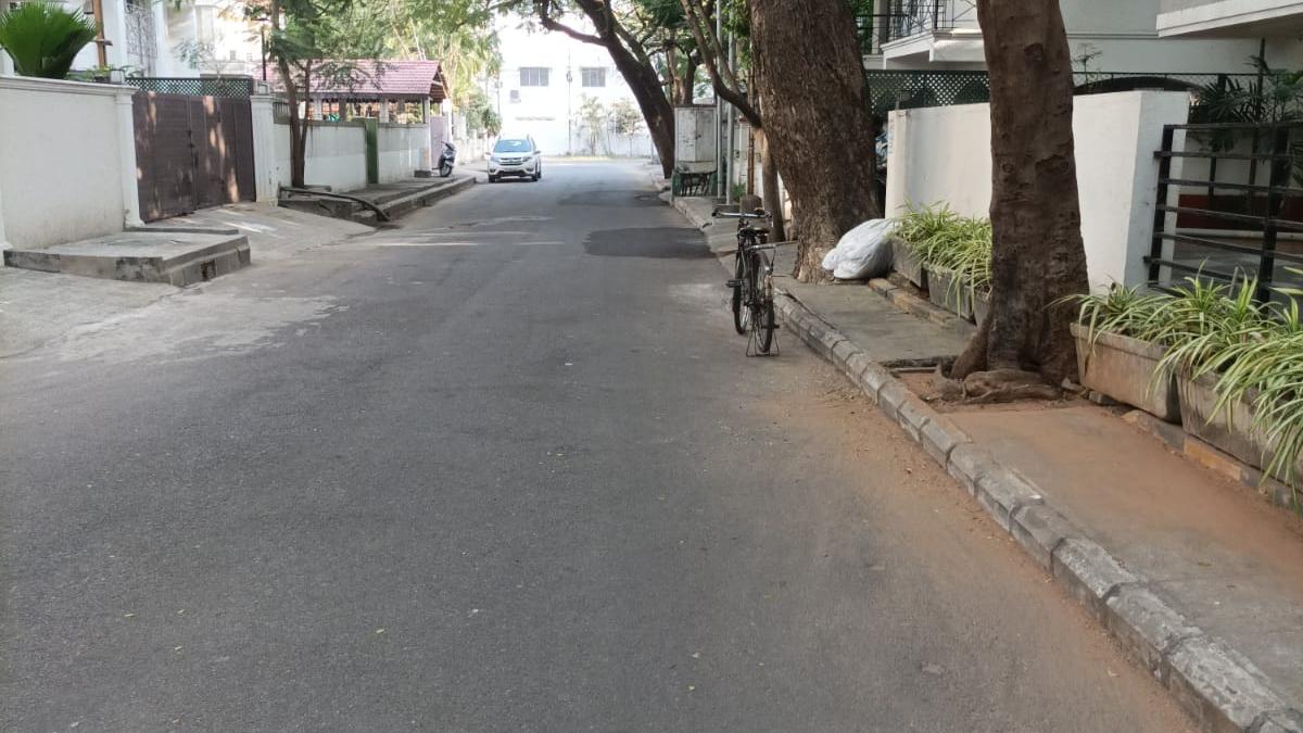 Greening the neighbourhood, one street at a time The Hindu