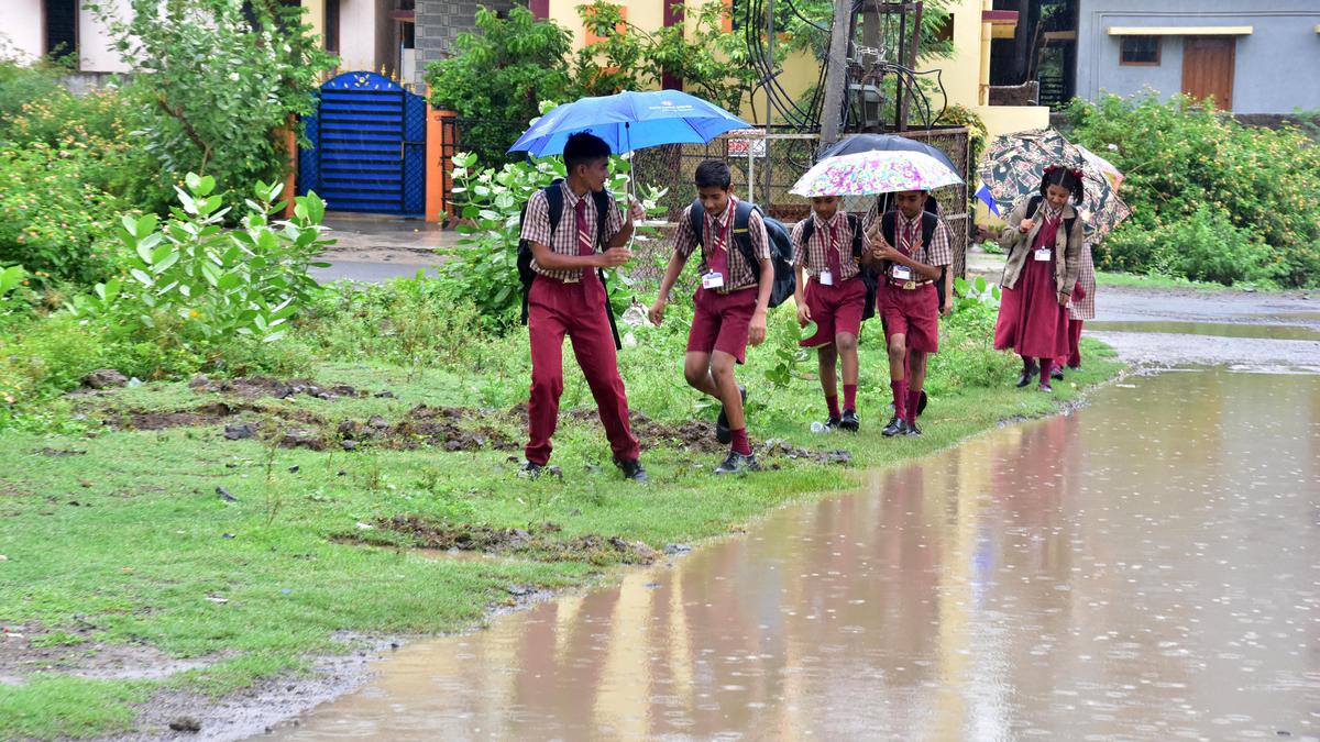 Rain triggers fresh hopes among farmers in Kalaburagi, Bidar