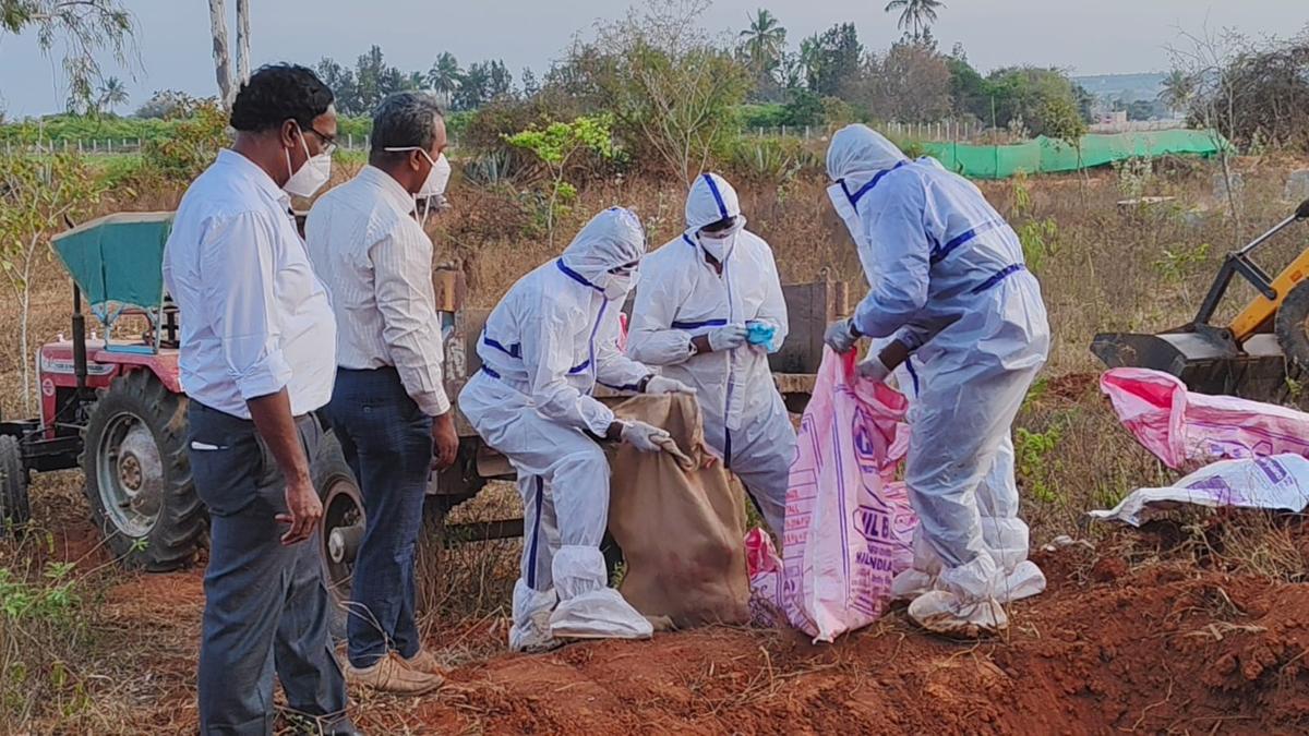 Bird flu: Chickballapur district administration undertakes mass culling in Varadahalli village