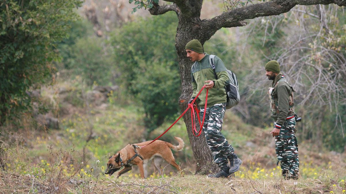 Rajouri terror attacks | Over 50 detained for questioning as search operation continues in Dangri