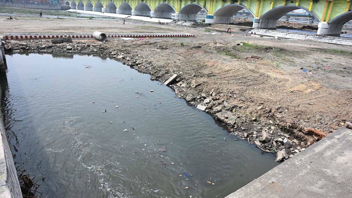 HC directs State govt. to come up with comprehensive action plan to save the Vaigai