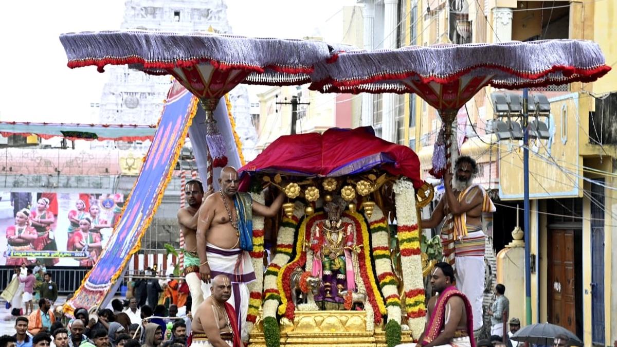 Goddess Padmavati blesses devotees from Kalpavriksha, Hanumantha vahanams