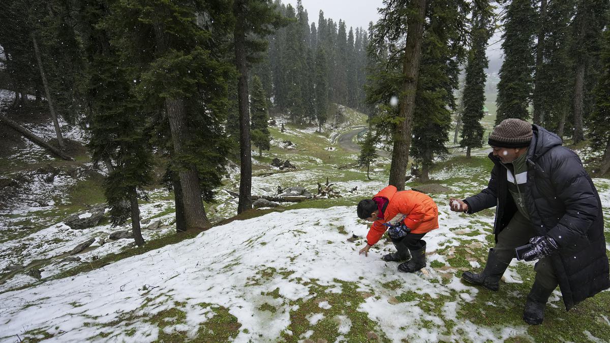 Snowfall Sparks Cold Wave In Kashmir Rains Close Highways The Hindu Snowfall Sparks Cold Wave In Kashmir Rains Close Highways The Hindu