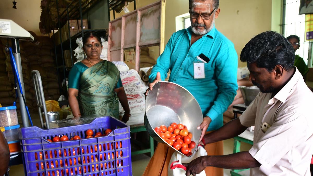 Tomatoes being sold at ₹50 per kg in rythu bazaars: Minister