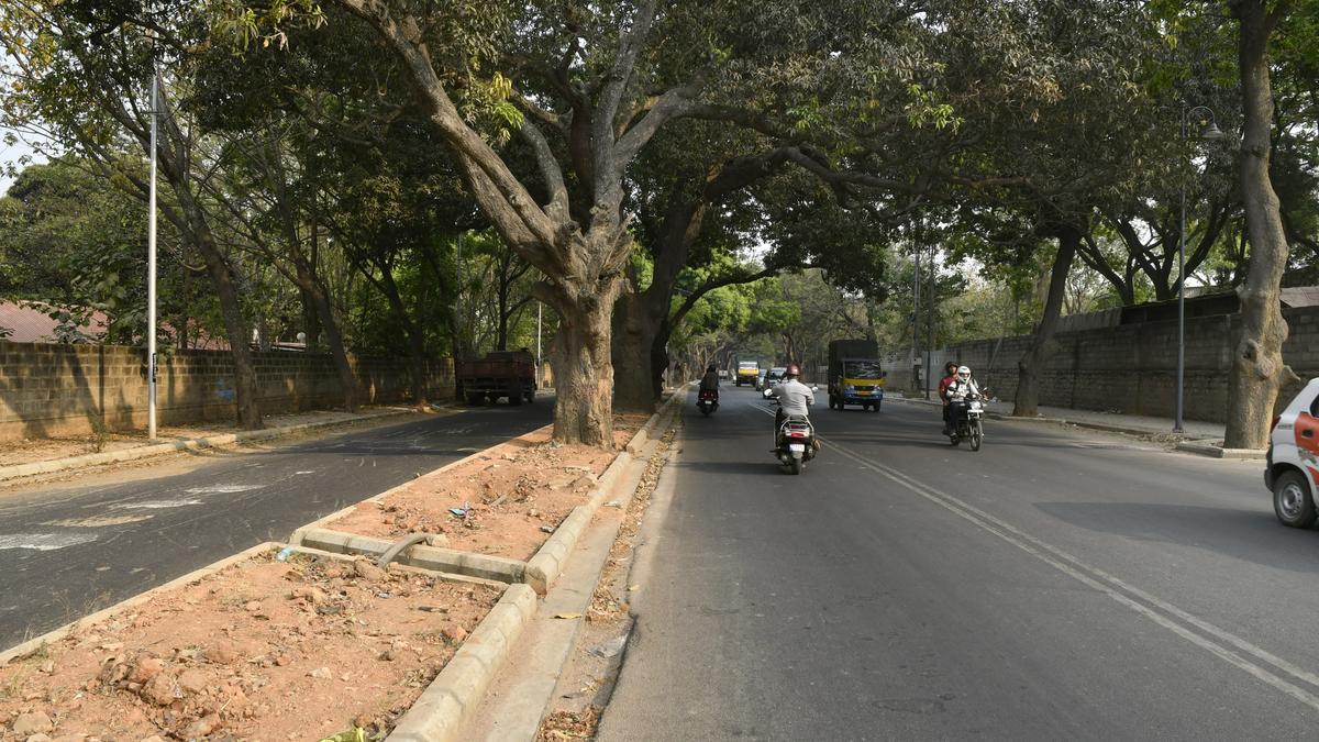 Issue fresh TDR as per guidance value for Palace Grounds land in Bengaluru: Supreme Court orders Karnataka govt