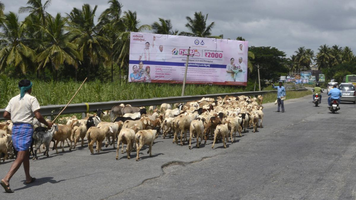 Stretches of the old Bengaluru-Mysuru highway in pathetic condition as it faces neglect after the inauguration of the Expressway