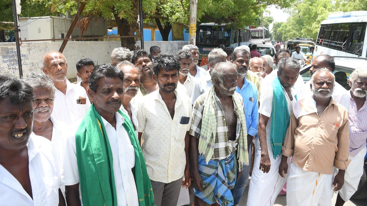 Declare Tirunelveli district drought-hit, say farmers