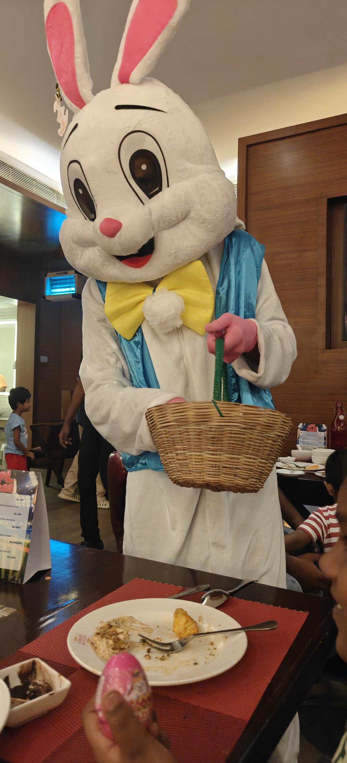 A live bunny cheering up children 