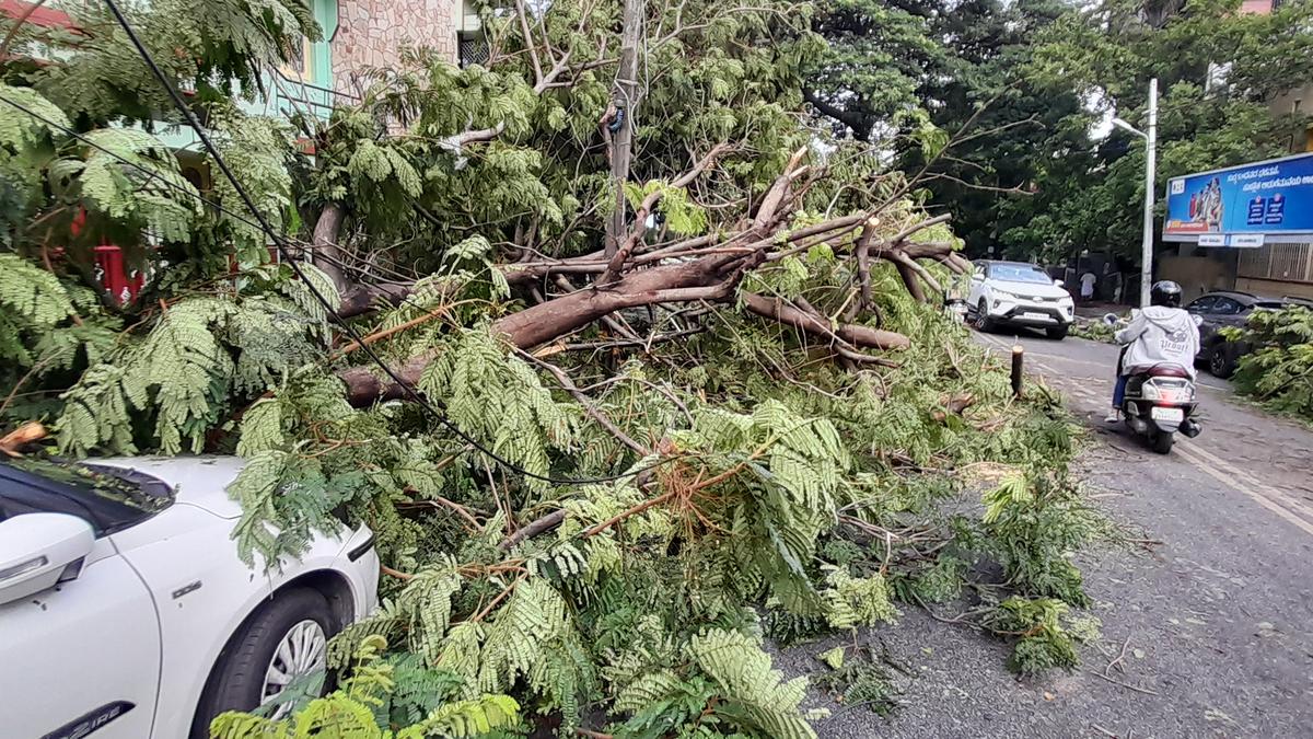 Residents trapped inside homes for more than 14 hours due to tree fall 