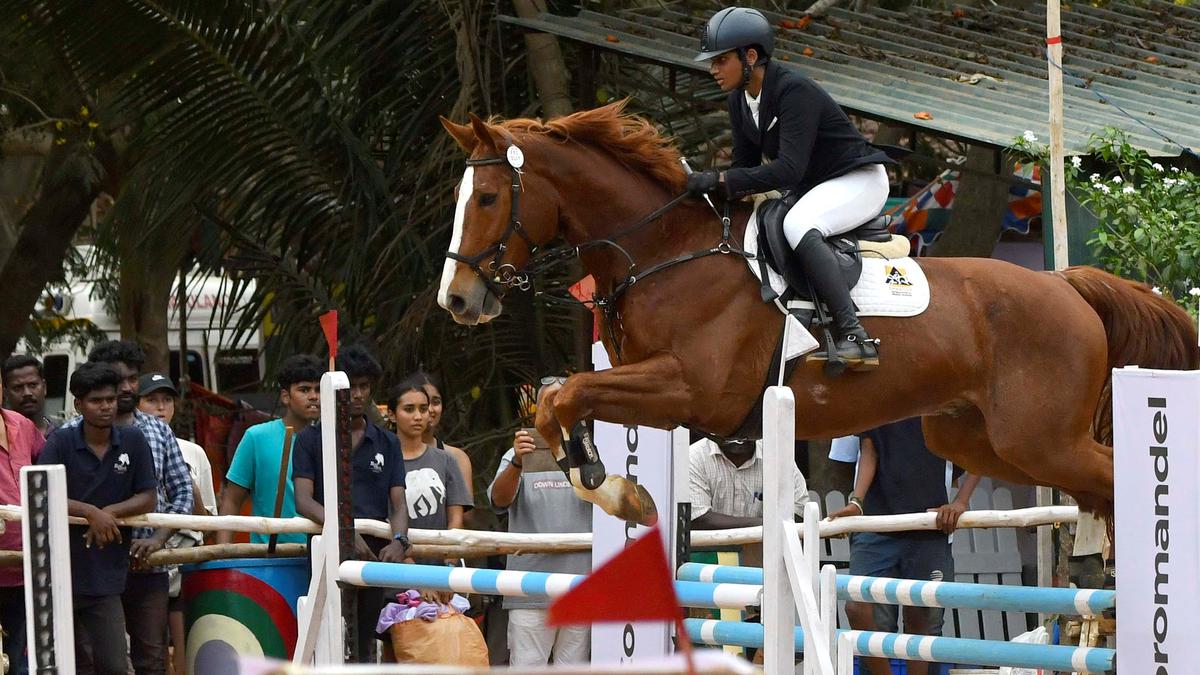 Auroville Horse Show from today