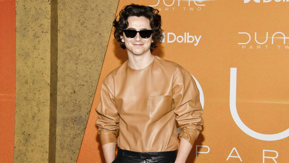 Timothee Chalamet begins shooting for Bob Dylan's biopic