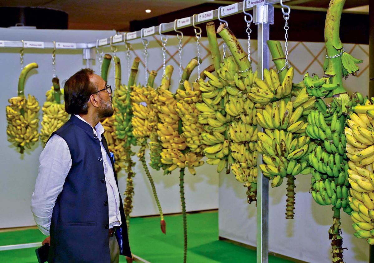 A visitor at a stall displaying the technologies and products developed by ICAR, at Bharat Ratna Dr C. Subramanian Convention Centre, NASC Complex, Pusa, in New Delhi, on July 15, 2024