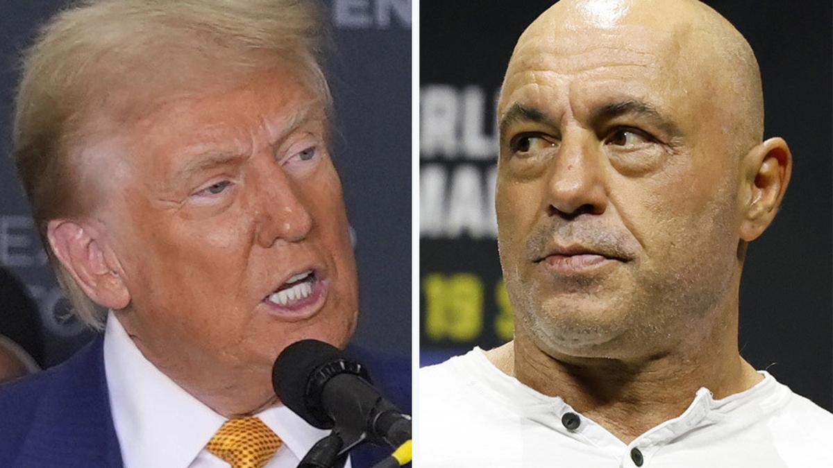 Joe Rogan supports Trump on the eve of the US election