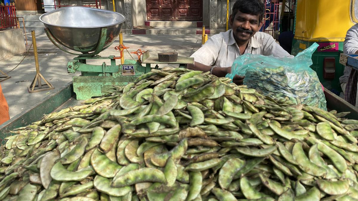 Drought takes its toll on the yield of Bengaluru’s favourite bean