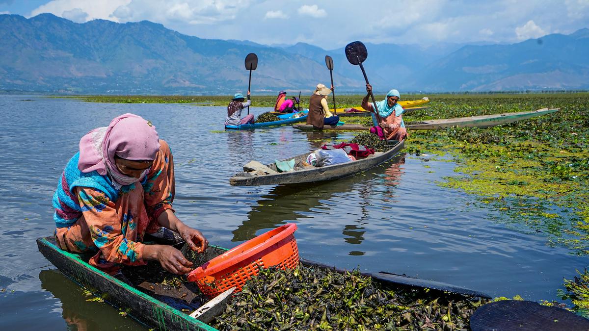 Building a stronger future for Kashmiri women