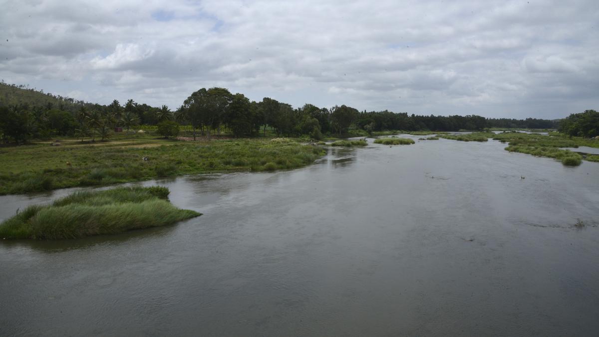 Cauvery water dispute | Tamil Nadu’s request for more water has no legal basis: Karnataka