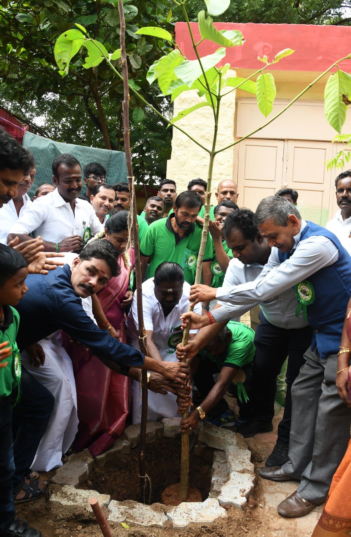 Tree-lovers of Madurai celebrate 100th week of sapling plantation drive