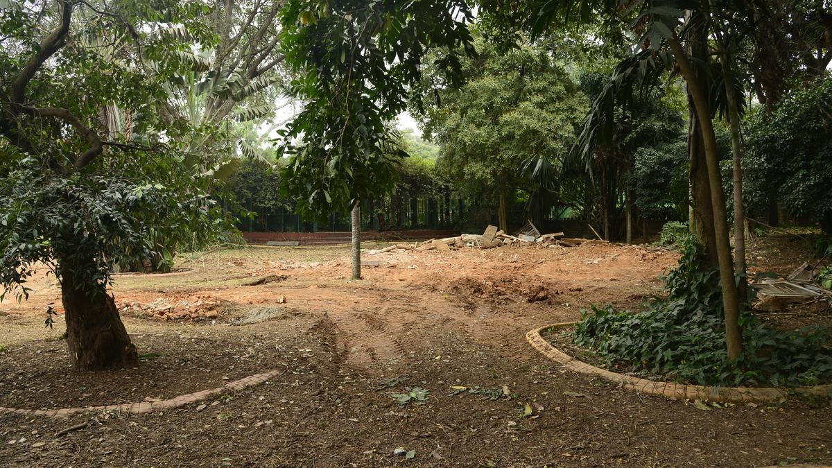 Lalbagh to soon have its own physical and digital herbarium 