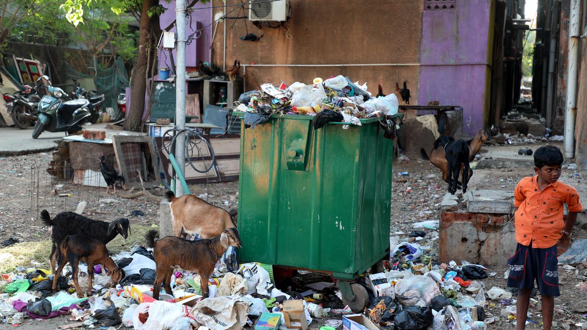 Solid waste management in urban areas: Here’s why residents of Chennai in Tamil Nadu must use two bins for dry and wet waste at home to help Greater Chennai Corporation