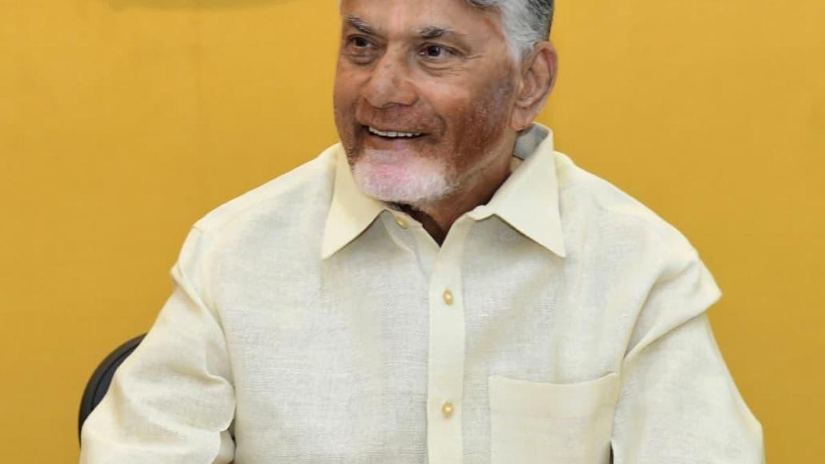 A.P. to issue Smart Family Cards by June