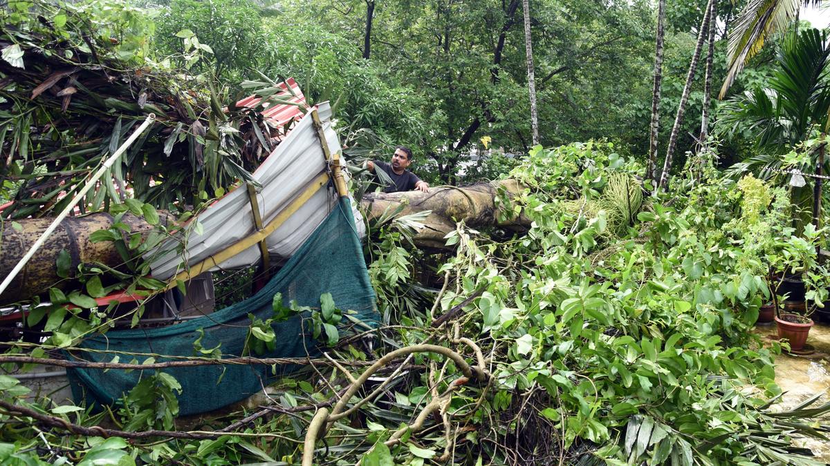 Detailed loss estimate of rain-related calamities in Kozhikode to be prepared soon