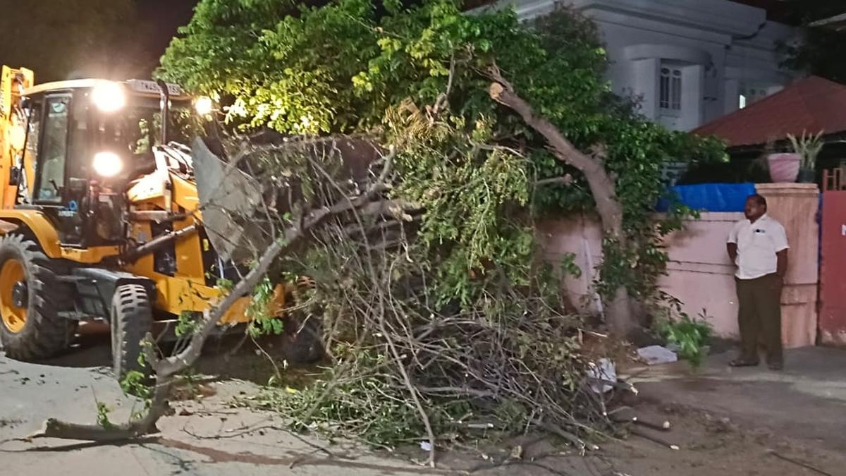 Garden waste collection to be extended to all zones in Tiruchi