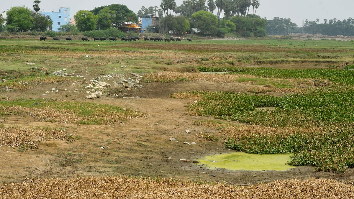 Puducherry’s budgetary allocation for environment-friendly schemes has shot up 153% this fiscal