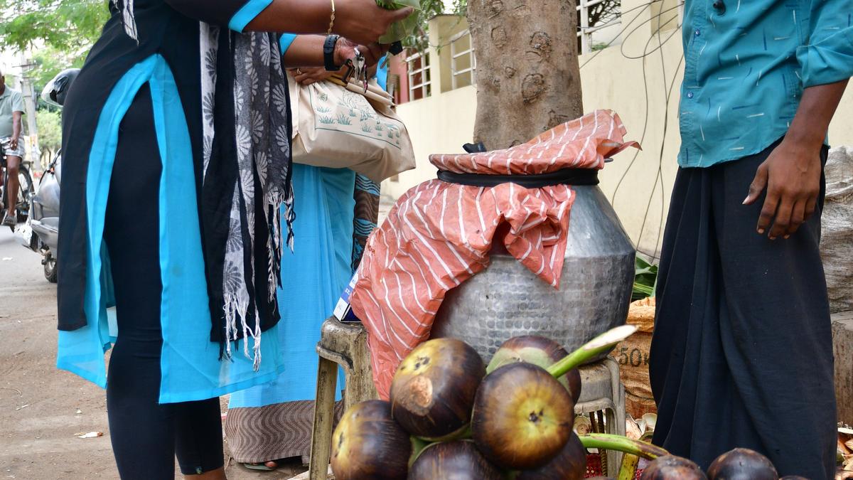 Delicious ‘nungu’ turns pricey  in Coimbatore