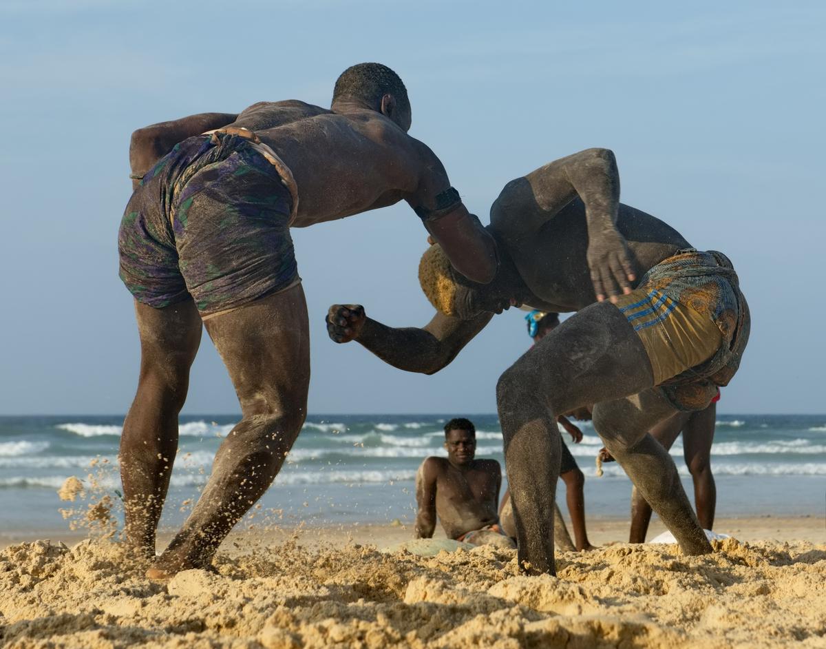 A Laamb wrestling match