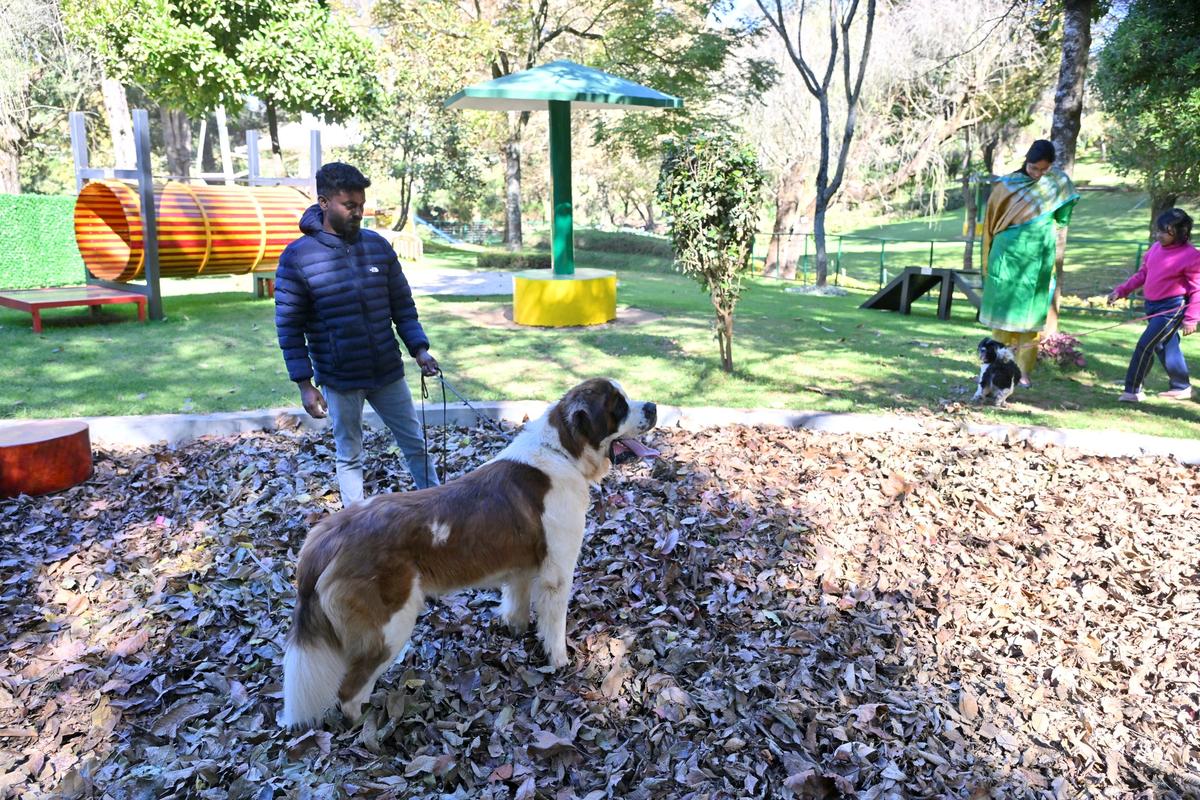 Lakshmi Bhavya Tanneeru IAS, the Nilgiris District Collector at the park that has earmarked play zones  