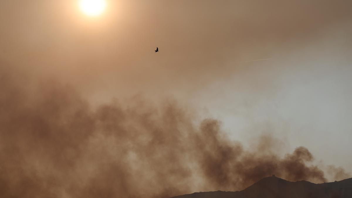 Drought and rising heat bring unusual wildfire warnings in northern Europe