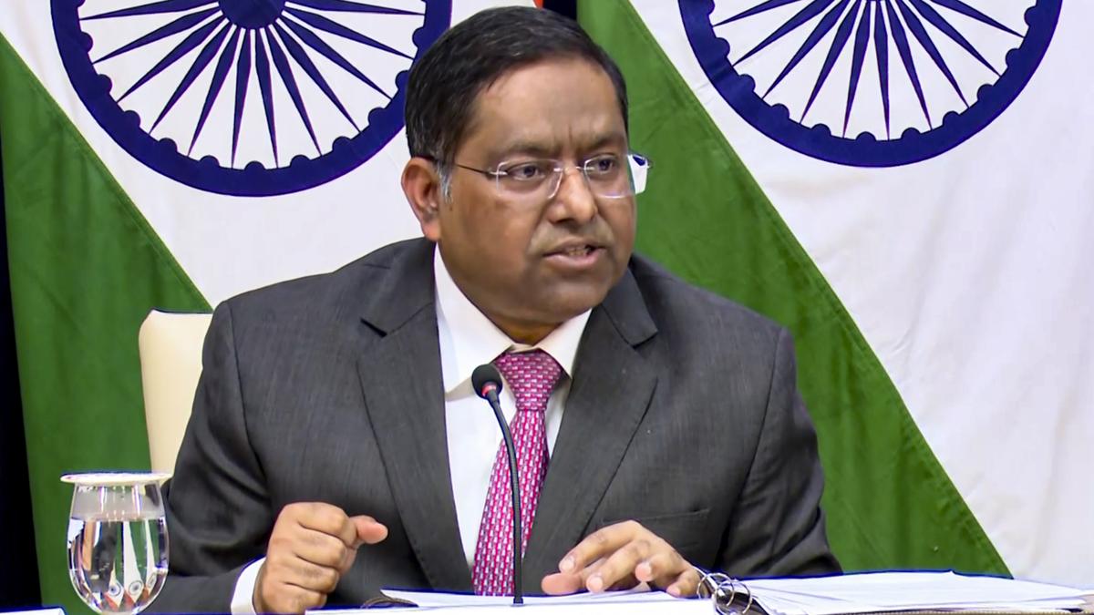 Majority of Indian nationals in Goma have moved to safety: MEA