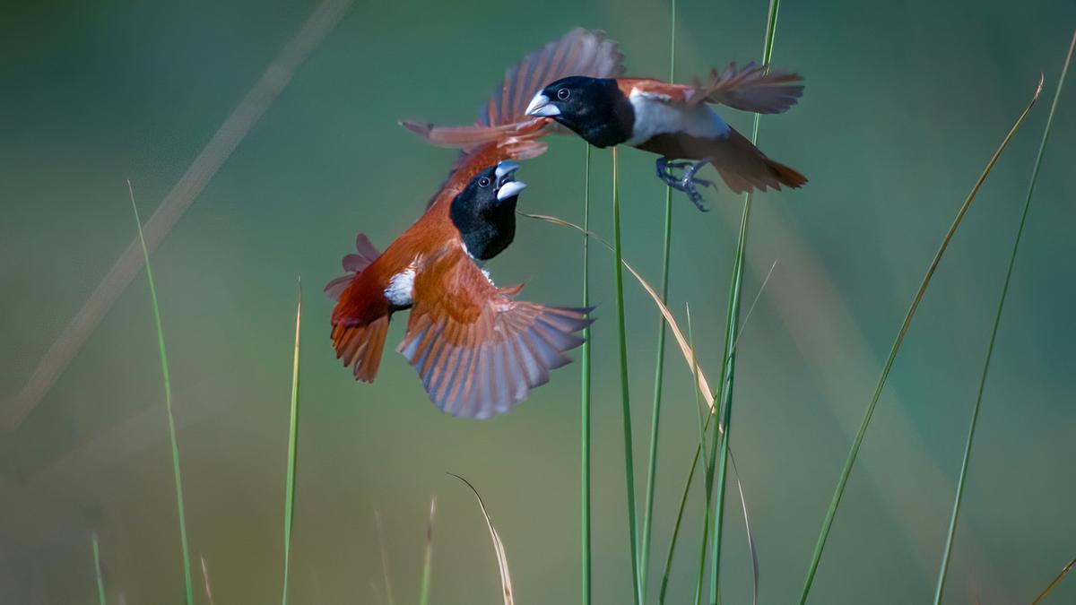 Madras through the lens