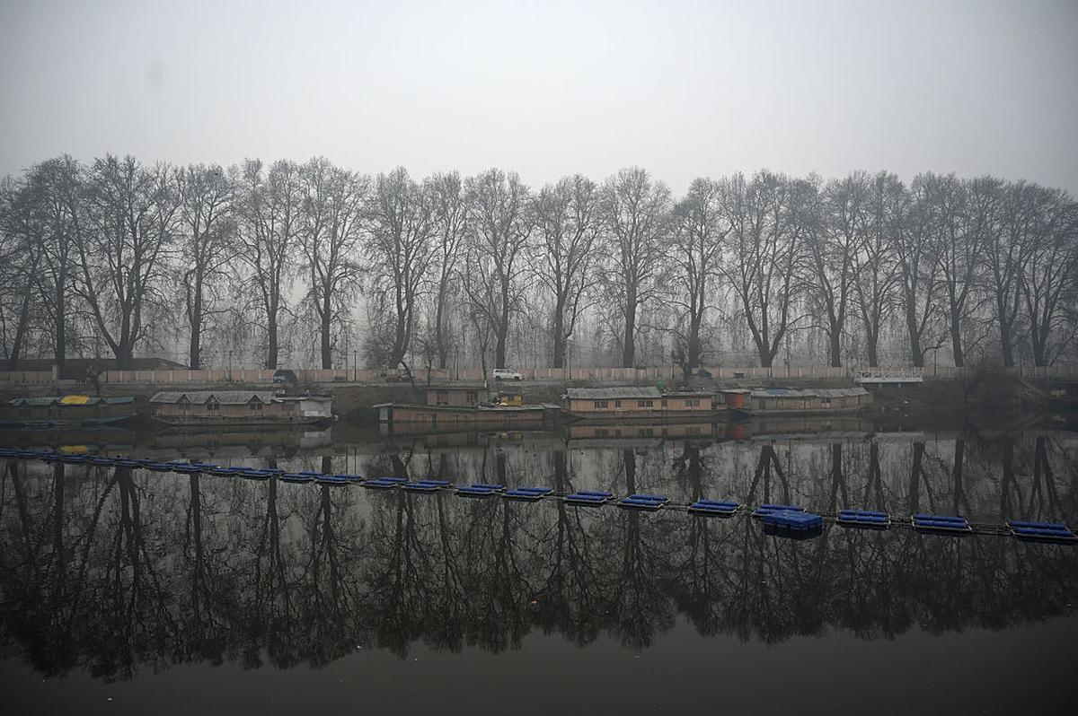 Chinar trees along a tributary of Dal Lake on a foggy morning in Srinagar. Chinar trees along a tributary of Dal Lake on a foggy morning in Srinagar.