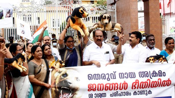 Stray dog menace: Congress takes out protest 