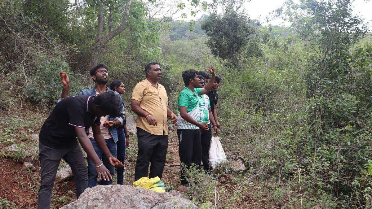 TNAU students fling seedballs to spruce up green cover in Karamadai forest area