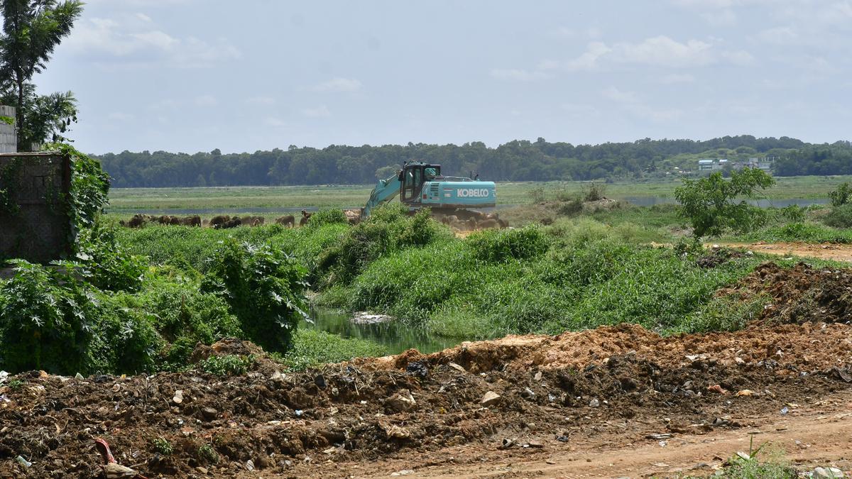 Seasonal lakes do dry in summer, but it is time to desilt to raise storage capacity
Premium