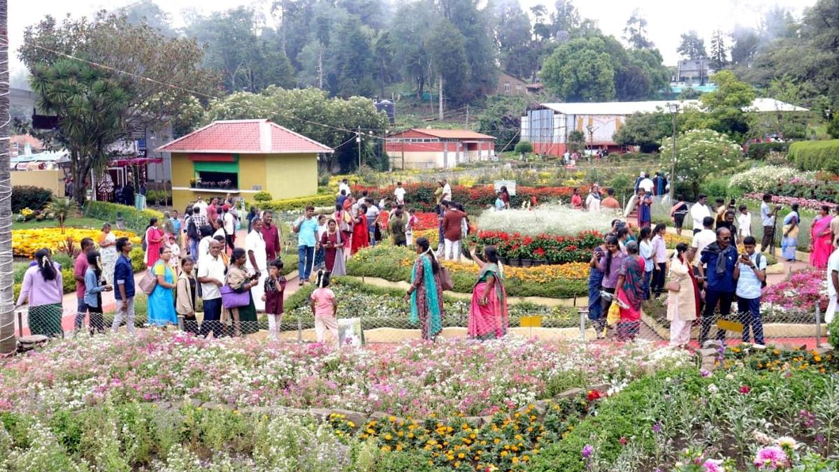 Kodaikanal Summer Festival, Flower Show draws tourists from far and near